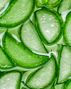Aloe Vera Oil
