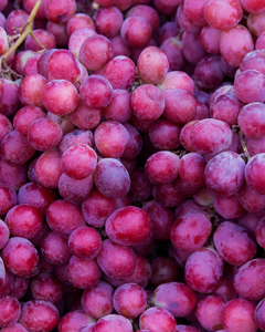 Grape Seed Oil